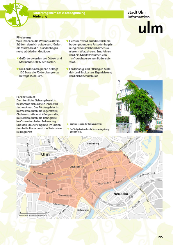 Beispiel Gestaltung Infoblatt Förderhilfen Fassadenbegrünung