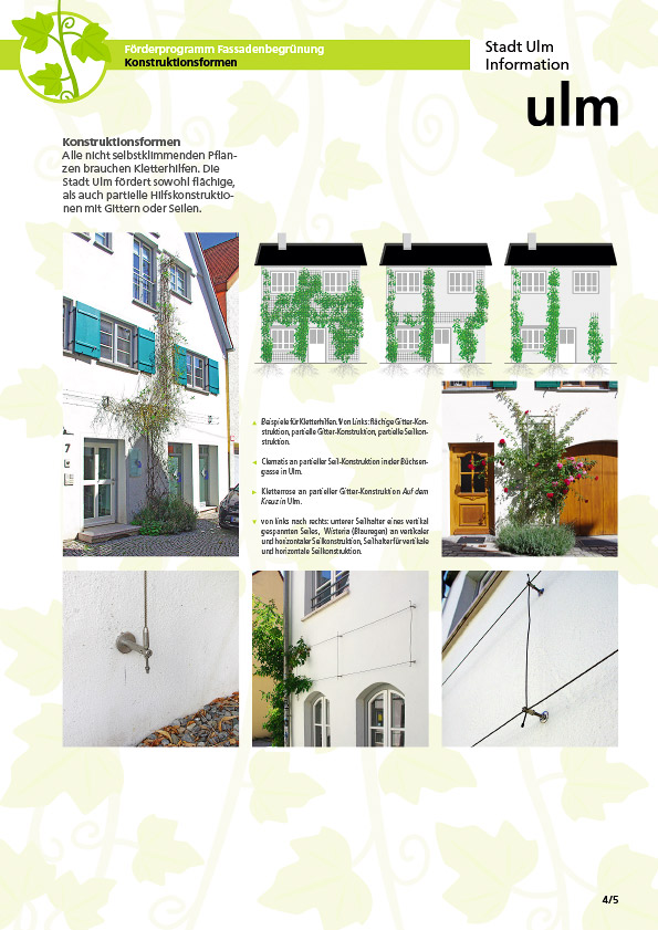 Beispiel Gestaltung Infoblatt Konstruktionsformen Fassadenbegrünung