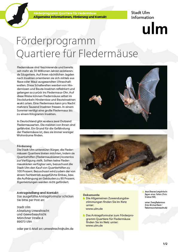 Beispiel Gestaltung Infoblatt Quartiere für Fledermäuse